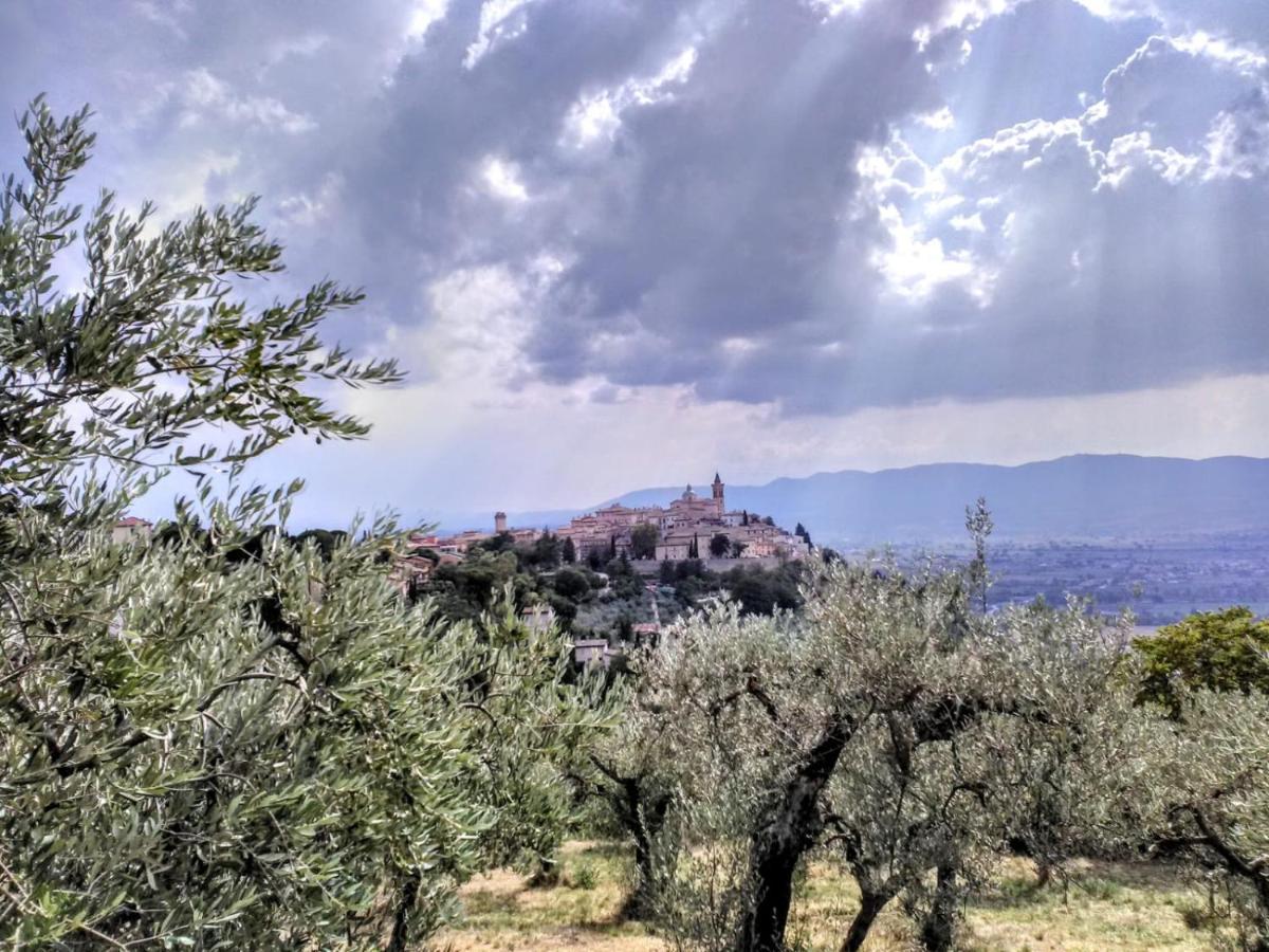 Il Panorama Di Trevi Hotel Bagian luar foto